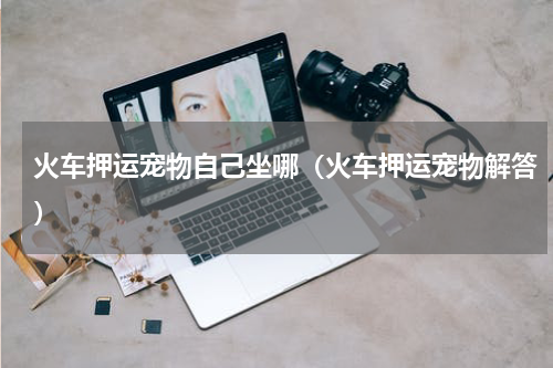 火车押运宠物自己坐哪（火车押运宠物解答）