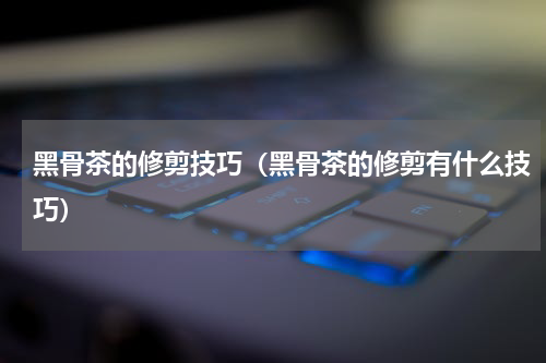 黑骨茶的修剪技巧（黑骨茶的修剪有什么技巧）