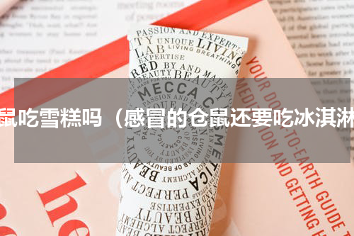 仓鼠吃雪糕吗（感冒的仓鼠还要吃冰淇淋）
