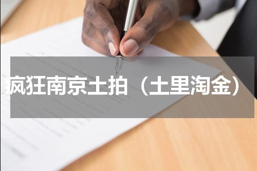 疯狂南京土拍（土里淘金）