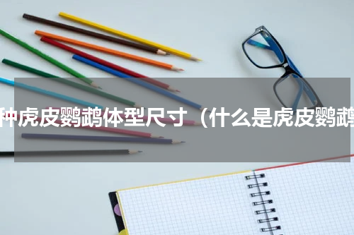 各种虎皮鹦鹉体型尺寸（什么是虎皮鹦鹉）