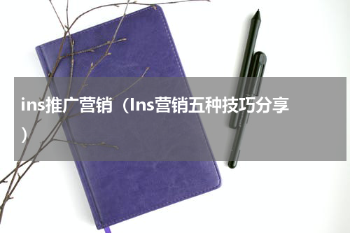 ins推广营销（Ins营销五种技巧分享）