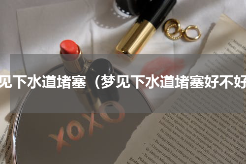 梦见下水道堵塞（梦见下水道堵塞好不好）