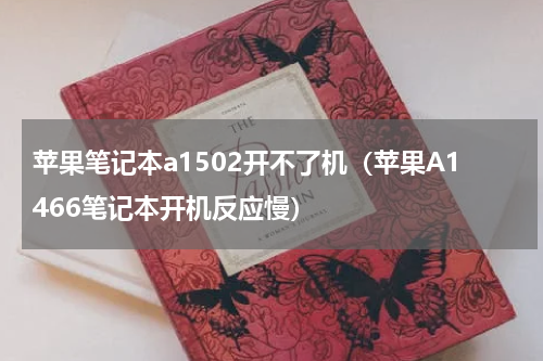 苹果笔记本a1502开不了机（苹果A1466笔记本开机反应慢）