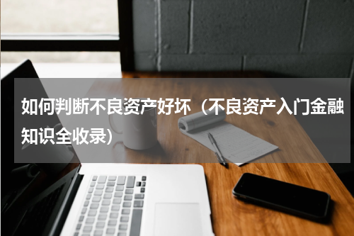 如何判断不良资产好坏（不良资产入门金融知识全收录）
