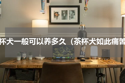 茶杯犬一般可以养多久（茶杯犬如此痛苦）