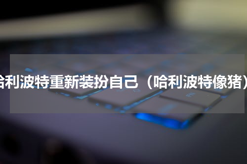 哈利波特重新装扮自己（哈利波特像猪）
