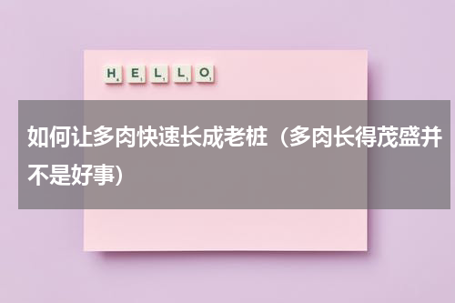 如何让多肉快速长成老桩（多肉长得茂盛并不是好事）