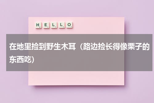 在地里捡到野生木耳（路边捡长得像栗子的东西吃）
