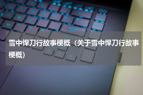 雪中悍刀行故事梗概（关于雪中悍刀行故事梗概）