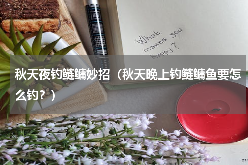 秋天夜钓鲢鳙妙招（秋天晚上钓鲢鳙鱼要怎么钓？）