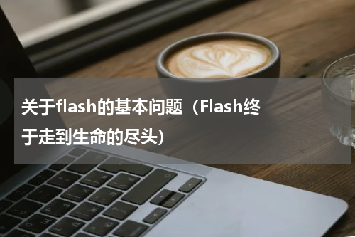 关于flash的基本问题（Flash终于走到生命的尽头）