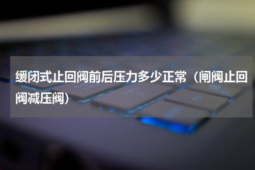 缓闭式止回阀前后压力多少正常（闸阀止回阀减压阀）