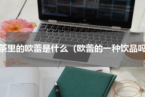 奶茶里的欧蕾是什么（欧蕾的一种饮品吗）