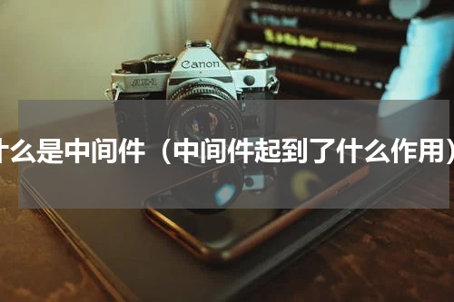什么是中间件（中间件起到了什么作用）