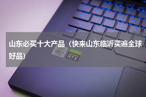 山东必买十大产品（快来山东临沂买遍全球好品）