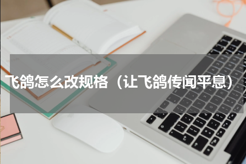 飞鸽怎么改规格（让飞鸽传闻平息）