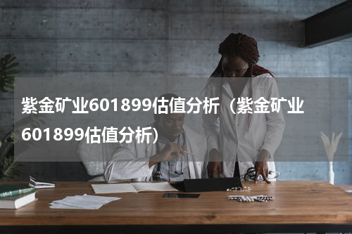 紫金矿业601899估值分析（紫金矿业601899估值分析）