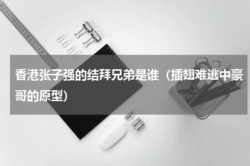 香港张子强的结拜兄弟是谁（插翅难逃中豪哥的原型）