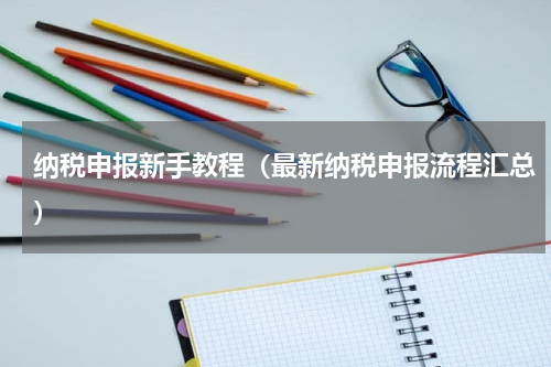 纳税申报新手教程（最新纳税申报流程汇总）