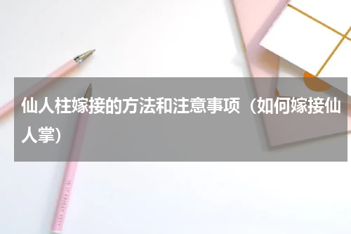 仙人柱嫁接的方法和注意事项（如何嫁接仙人掌）
