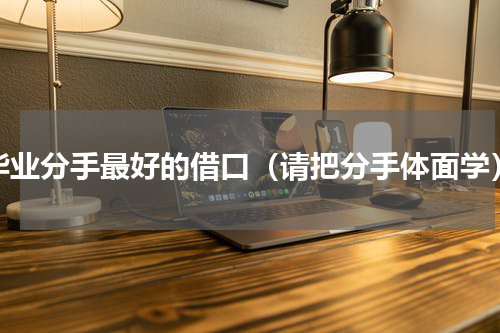 毕业分手最好的借口（请把分手体面学）