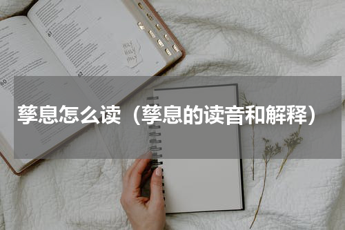 孳息怎么读（孳息的读音和解释）