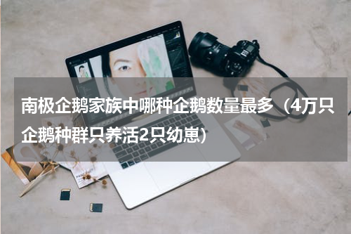 南极企鹅家族中哪种企鹅数量最多（4万只企鹅种群只养活2只幼崽）