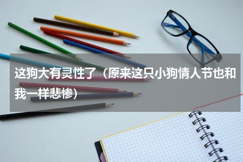 这狗大有灵性了（原来这只小狗情人节也和我一样悲惨）
