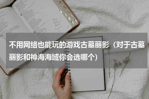 不用网络也能玩的游戏古墓丽影（对于古墓丽影和神海海域你会选哪个）