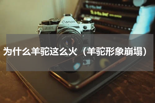 为什么羊驼这么火（羊驼形象崩塌）