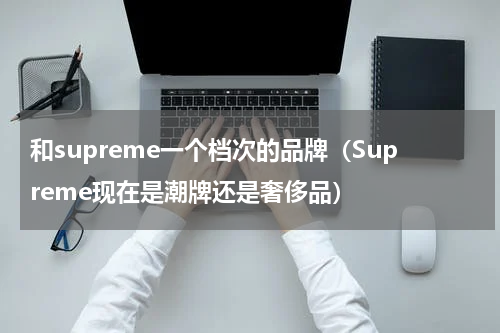 和supreme一个档次的品牌（Supreme现在是潮牌还是奢侈品）