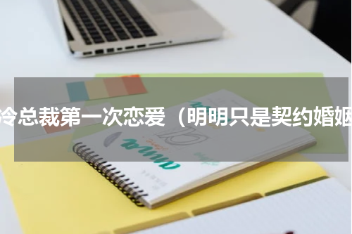 高冷总裁第一次恋爱（明明只是契约婚姻）