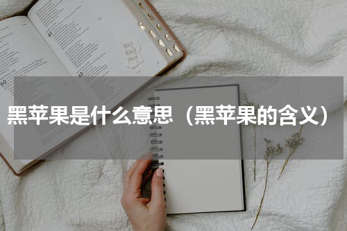 黑苹果是什么意思（黑苹果的含义）