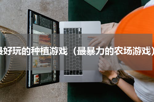 最好玩的种植游戏（最暴力的农场游戏）