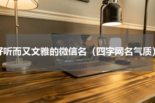 好听而又文雅的微信名（四字网名气质）
