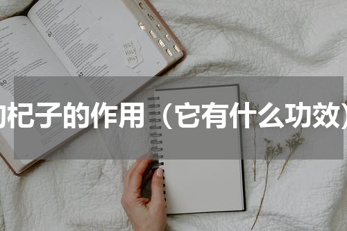 枸杞子的作用（它有什么功效）