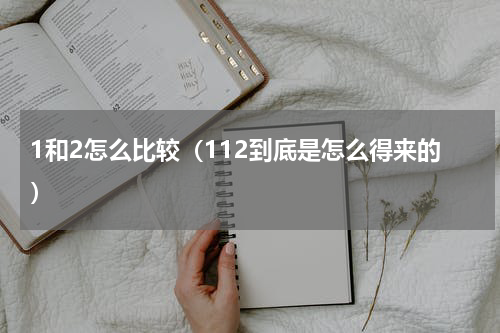 1和2怎么比较（112到底是怎么得来的）