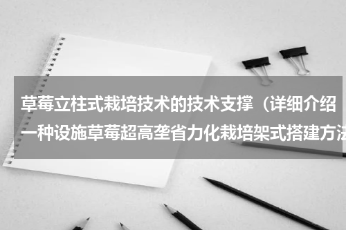 草莓立柱式栽培技术的技术支撑（详细介绍一种设施草莓超高垄省力化栽培架式搭建方法）
