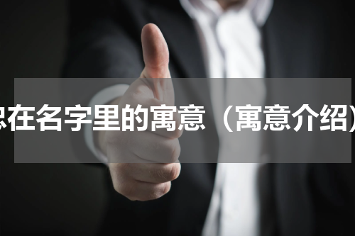 忠在名字里的寓意（寓意介绍）