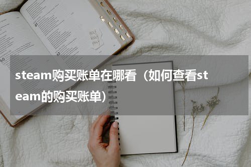 steam购买账单在哪看（如何查看steam的购买账单）