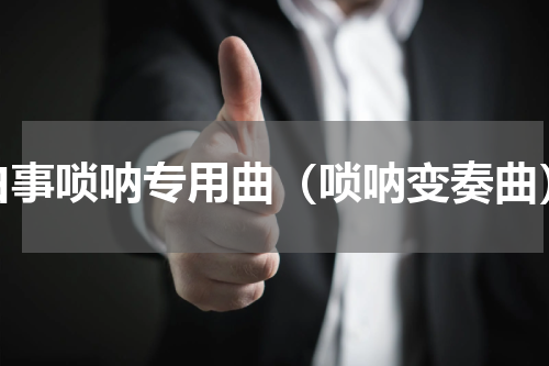 白事唢呐专用曲（唢呐变奏曲）