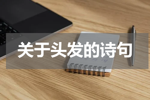 关于头发的诗句