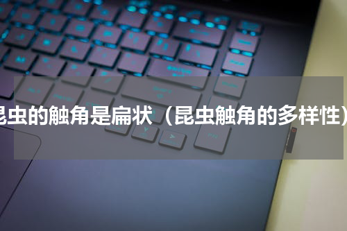 昆虫的触角是扁状（昆虫触角的多样性）