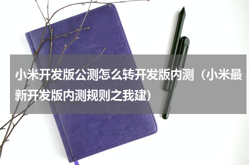 小米开发版公测怎么转开发版内测（小米最新开发版内测规则之我建）