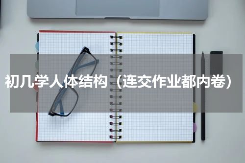 初几学人体结构（连交作业都内卷）