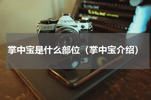 掌中宝是什么部位（掌中宝介绍）