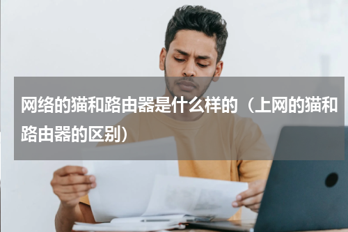 网络的猫和路由器是什么样的（上网的猫和路由器的区别）