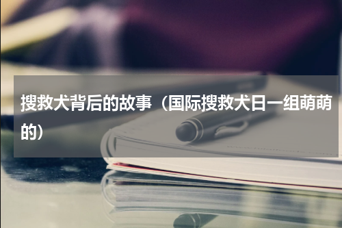 搜救犬背后的故事（国际搜救犬日一组萌萌的）