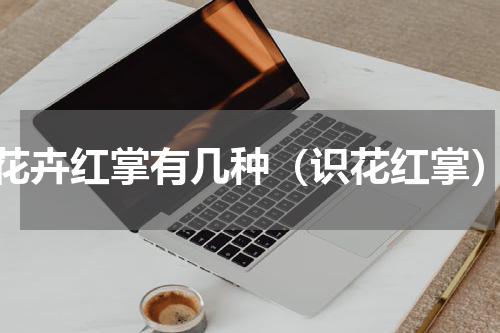 花卉红掌有几种（识花红掌）
